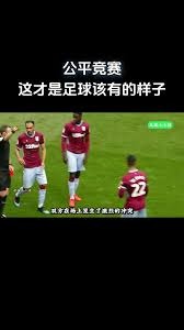 拉菲尼亚梅开二度 巴萨主场2-0完胜奥萨苏纳